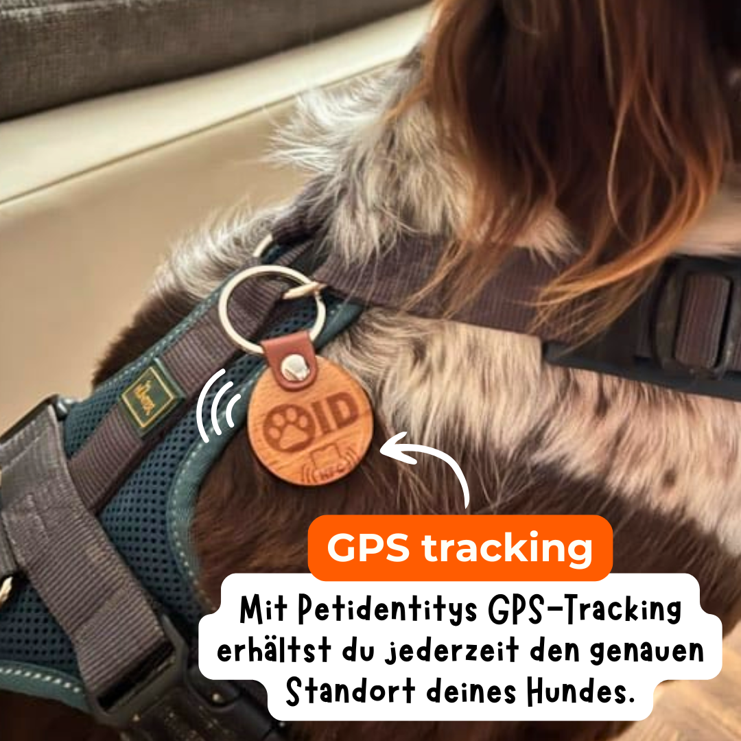 PetIdentity Hunde Bundle