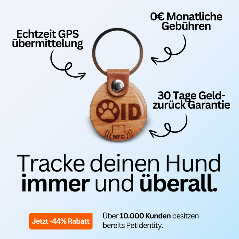 PetIdentity Hundemarke